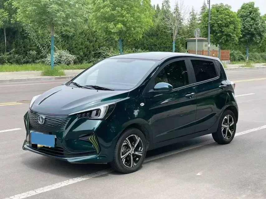 2021 ChangAn BenBen E-Star BEV 31.18KWH,autocango,china used car exporter,china ev exporter,chinese used car exporter,chinese used ev exporter