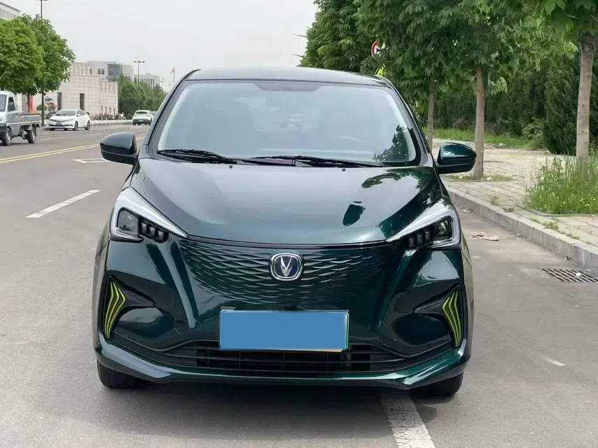 2021 ChangAn BenBen E-Star BEV 31.18KWH,autocango,china used car exporter,china ev exporter,chinese used car exporter,chinese used ev exporter