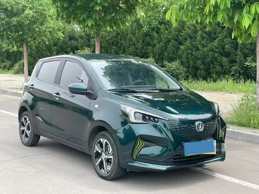 2021 ChangAn BenBen E-Star BEV 31.18KWH,autocango,china used car exporter,china ev exporter,chinese used car exporter,chinese used ev exporter