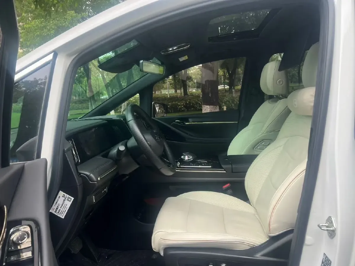 2024 GAC Trumpchi M8 2.0T 252HP L4 8AT,autocango,china used car exporter,china ev exporter,chinese used car exporter,chinese used ev exporter