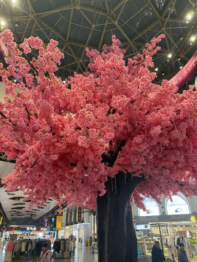 2025 BYD Qin Plus 1.5L 101HP L4 E-CVT PHEV 7.68KWH,autocango,china used car exporter,china ev exporter,chinese used car exporter,chinese used ev exporter