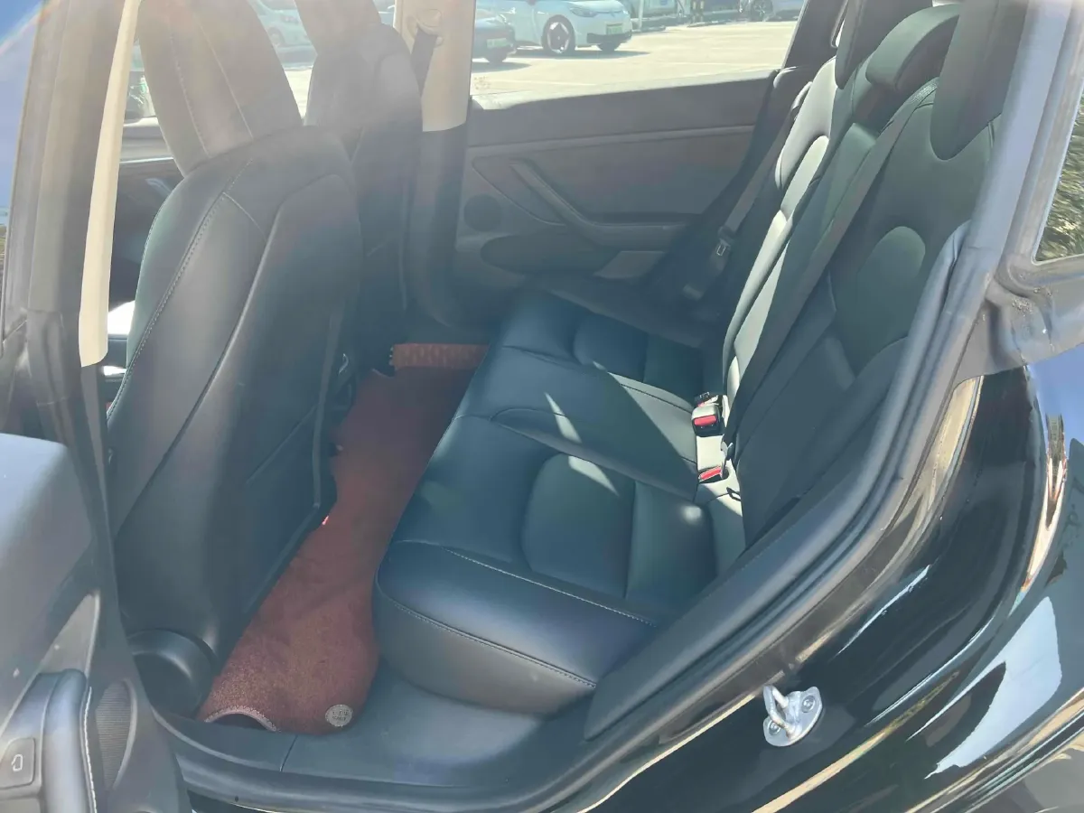 2021 Tesla Model 3 BEV 55KWH,autocango,china used car exporter,china ev exporter,chinese used car exporter,chinese used ev exporter