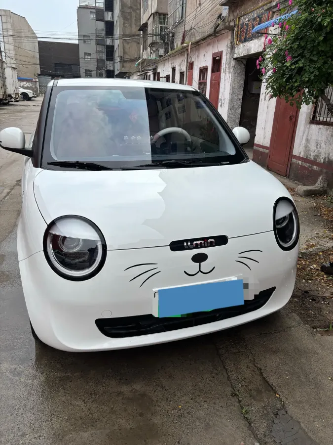 2022 Levdeo Mango BEV 17.28KWH,autocango,china used car exporter,china ev exporter,chinese used car exporter,chinese used ev exporter