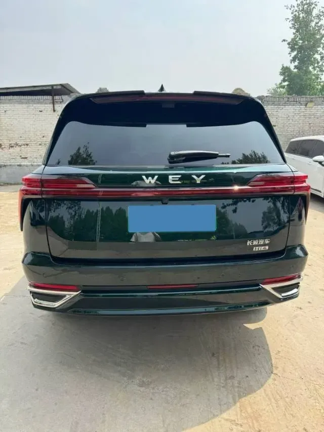 2023 WEY BlueMountain 1.5T 154HP L4 2DHT PHEV 44.5KWH,autocango,china used car exporter,china ev exporter,chinese used car exporter,chinese used ev exporter