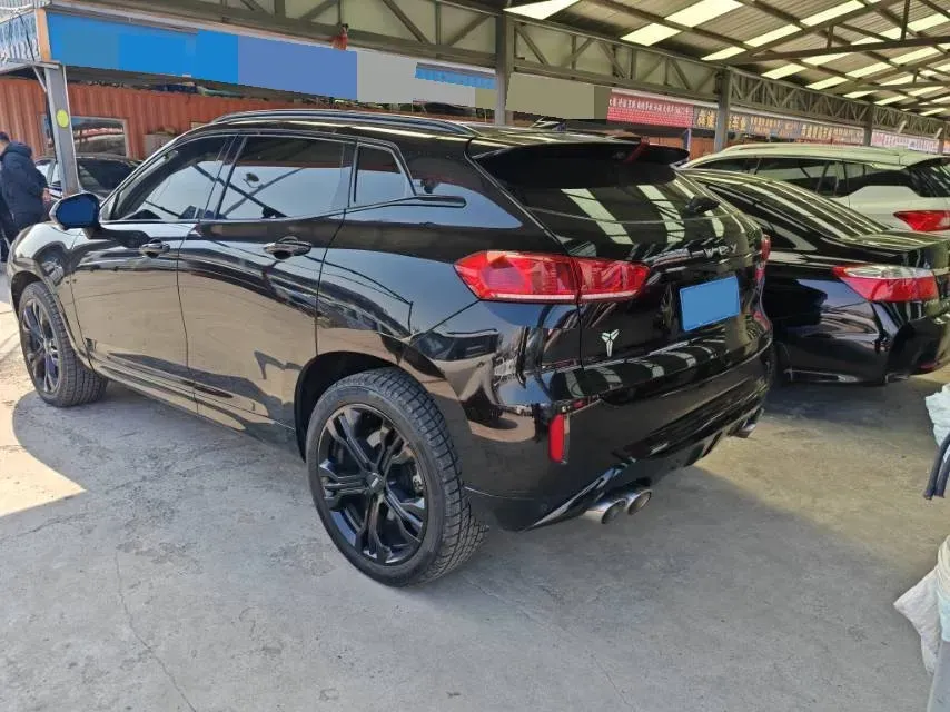2019 WEY VV7 2.0T 227HP L4 7DCT,autocango,china used car exporter,china ev exporter,chinese used car exporter,chinese used ev exporter