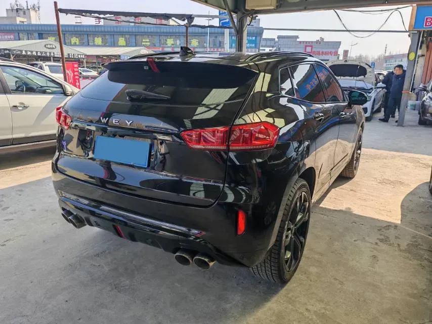 2019 WEY VV7 2.0T 227HP L4 7DCT,autocango,china used car exporter,china ev exporter,chinese used car exporter,chinese used ev exporter