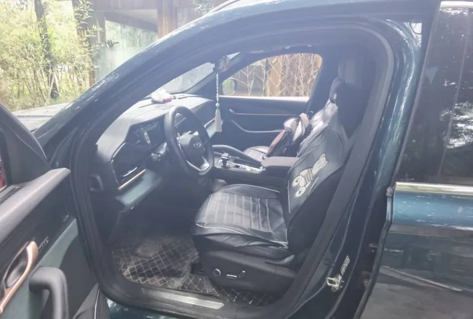 2024 Geely Monjaro 2.0T 218HP L4 7DCT,autocango,china used car exporter,china ev exporter,chinese used car exporter,chinese used ev exporter