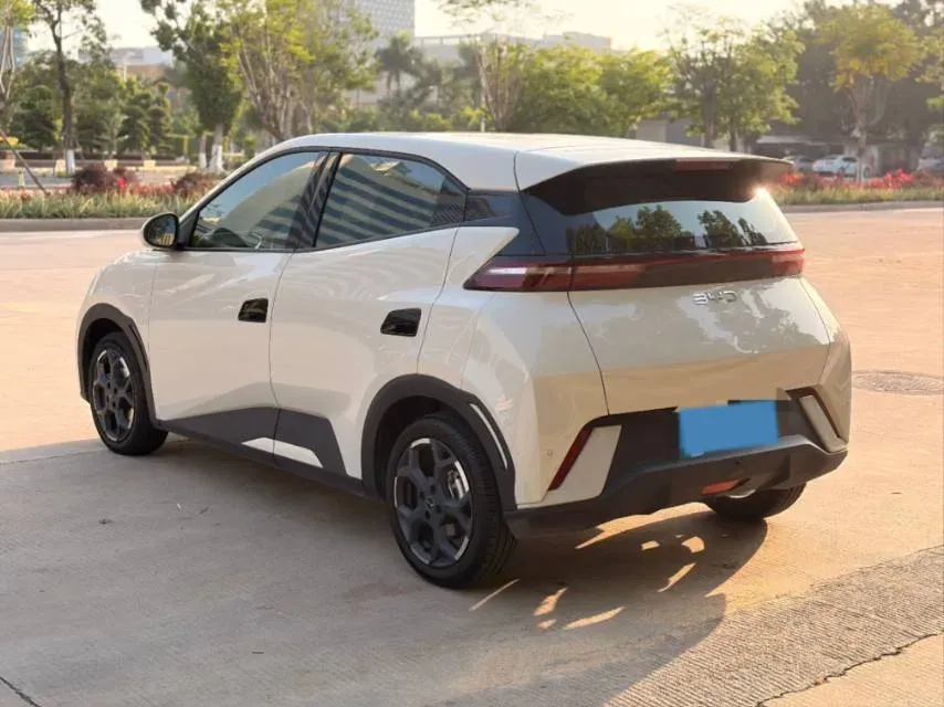 2025 BYD Seagull BEV 30.08KWH,autocango,china used car exporter,china ev exporter,chinese used car exporter,chinese used ev exporter