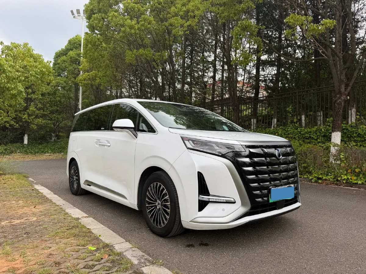 2024 Denza D9 1.5T 139HP L4 E-CVT PHEV 40KWH,autocango,china used car exporter,china ev exporter,chinese used car exporter,chinese used ev exporter