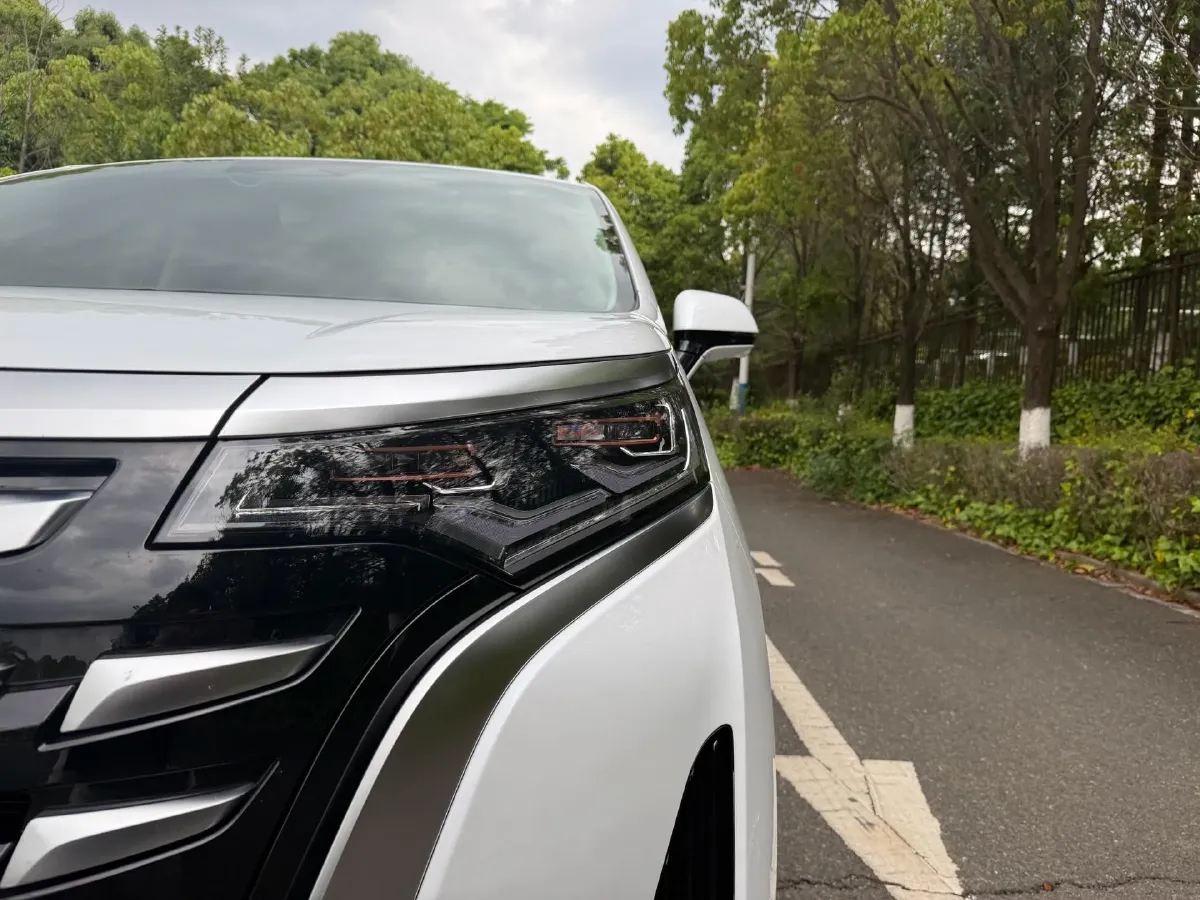 2024 Denza D9 1.5T 139HP L4 E-CVT PHEV 40KWH,autocango,china used car exporter,china ev exporter,chinese used car exporter,chinese used ev exporter