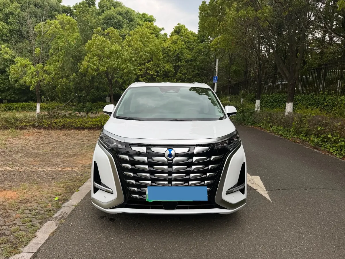 2024 Denza D9 1.5T 139HP L4 E-CVT PHEV 40KWH,autocango,china used car exporter,china ev exporter,chinese used car exporter,chinese used ev exporter