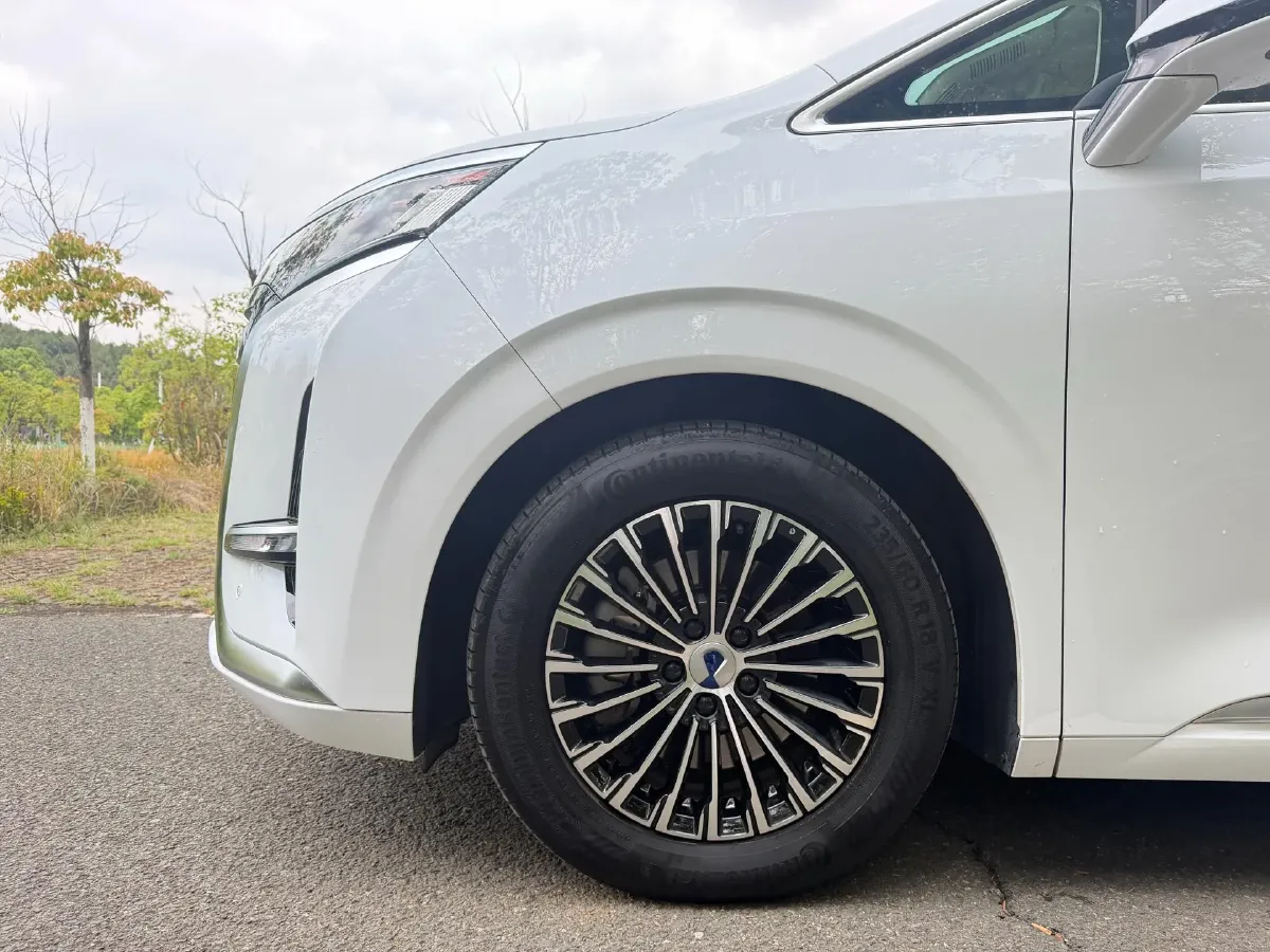 2024 Denza D9 1.5T 139HP L4 E-CVT PHEV 40KWH,autocango,china used car exporter,china ev exporter,chinese used car exporter,chinese used ev exporter