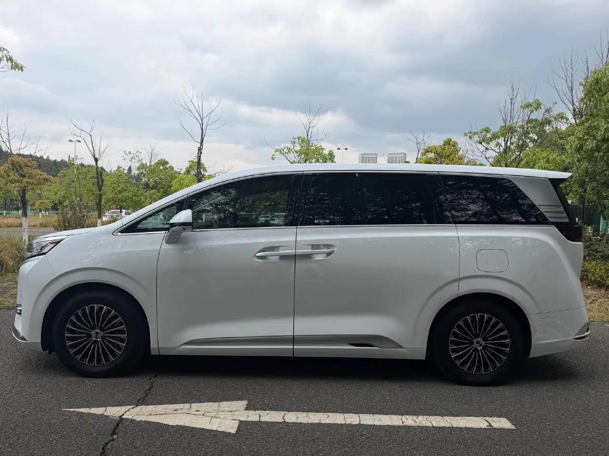 2024 Denza D9 1.5T 139HP L4 E-CVT PHEV 40KWH,autocango,china used car exporter,china ev exporter,chinese used car exporter,chinese used ev exporter