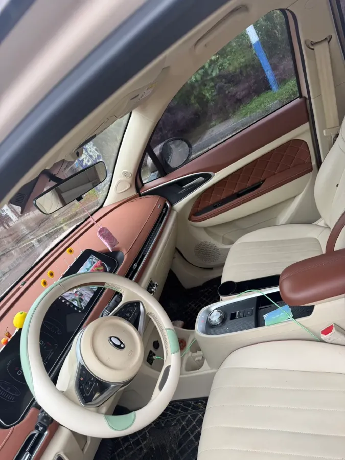 2021 Ora FunkyCat BEV 45.99KWH,autocango,china used car exporter,china ev exporter,chinese used car exporter,chinese used ev exporter