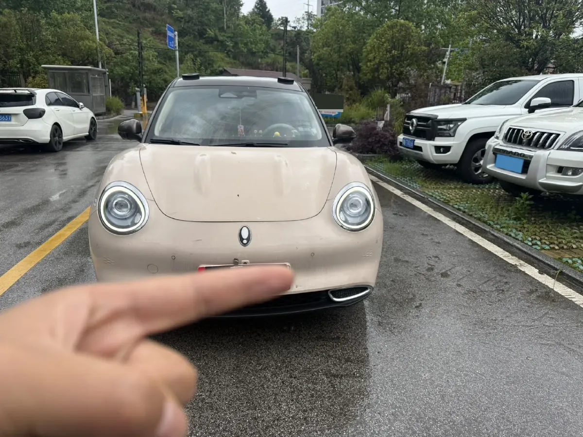 2021 Ora FunkyCat BEV 45.99KWH,autocango,china used car exporter,china ev exporter,chinese used car exporter,chinese used ev exporter