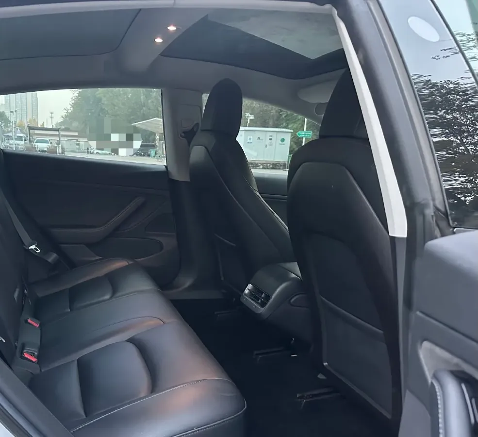 2020 Tesla Model 3 BEV 76.8KWH,autocango,china used car exporter,china ev exporter,chinese used car exporter,chinese used ev exporter