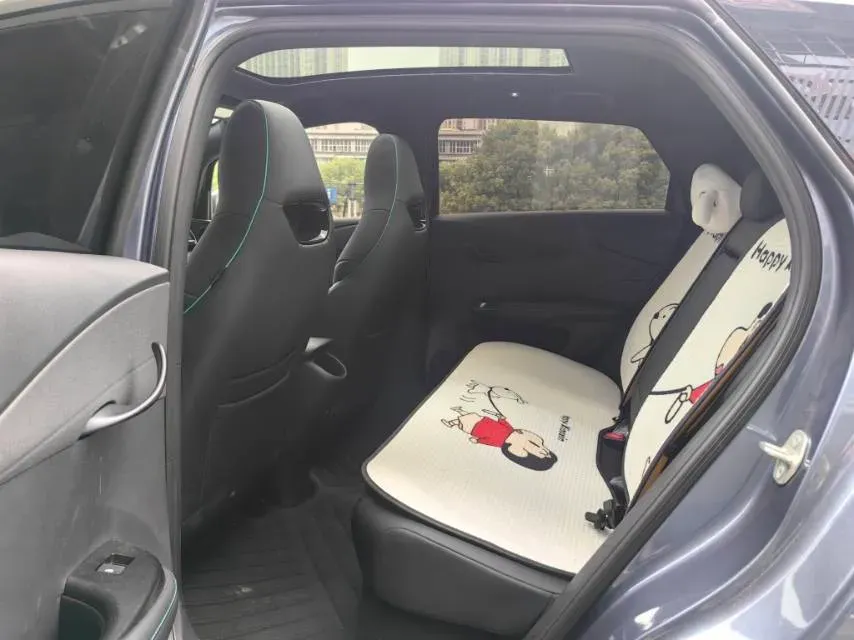 2024 BYD Dolphin BEV 44.928KWH,autocango,china used car exporter,china ev exporter,chinese used car exporter,chinese used ev exporter