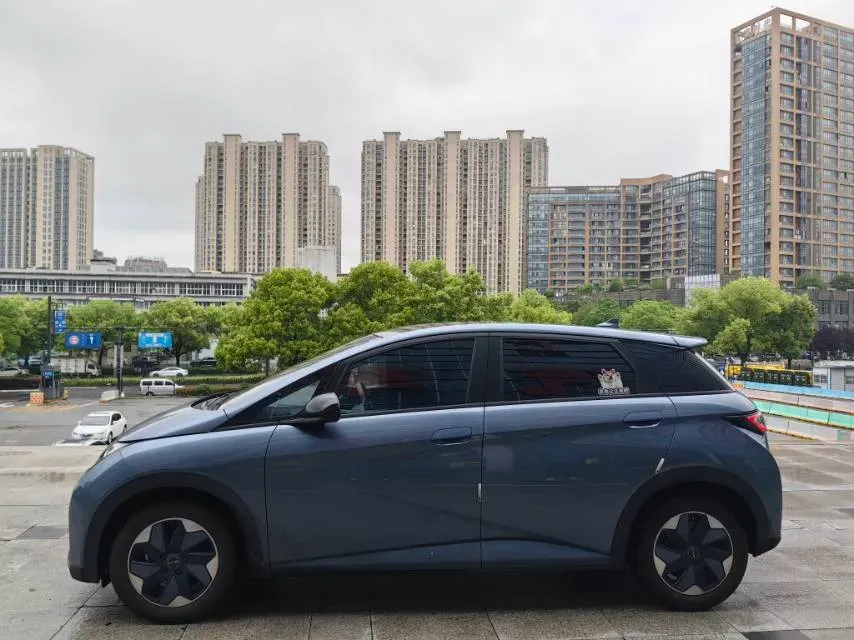 2024 BYD Dolphin BEV 44.928KWH,autocango,china used car exporter,china ev exporter,chinese used car exporter,chinese used ev exporter