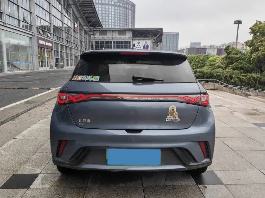 2024 BYD Dolphin BEV 44.928KWH,autocango,china used car exporter,china ev exporter,chinese used car exporter,chinese used ev exporter