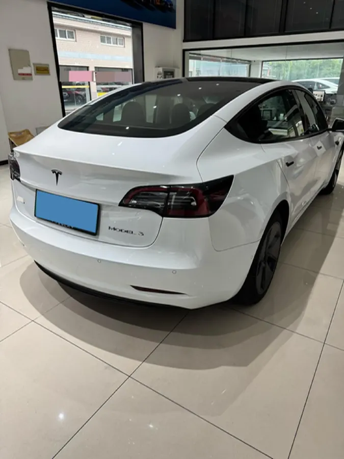 2022 Tesla Model 3 BEV 60KWH,autocango,china used car exporter,china ev exporter,chinese used car exporter,chinese used ev exporter