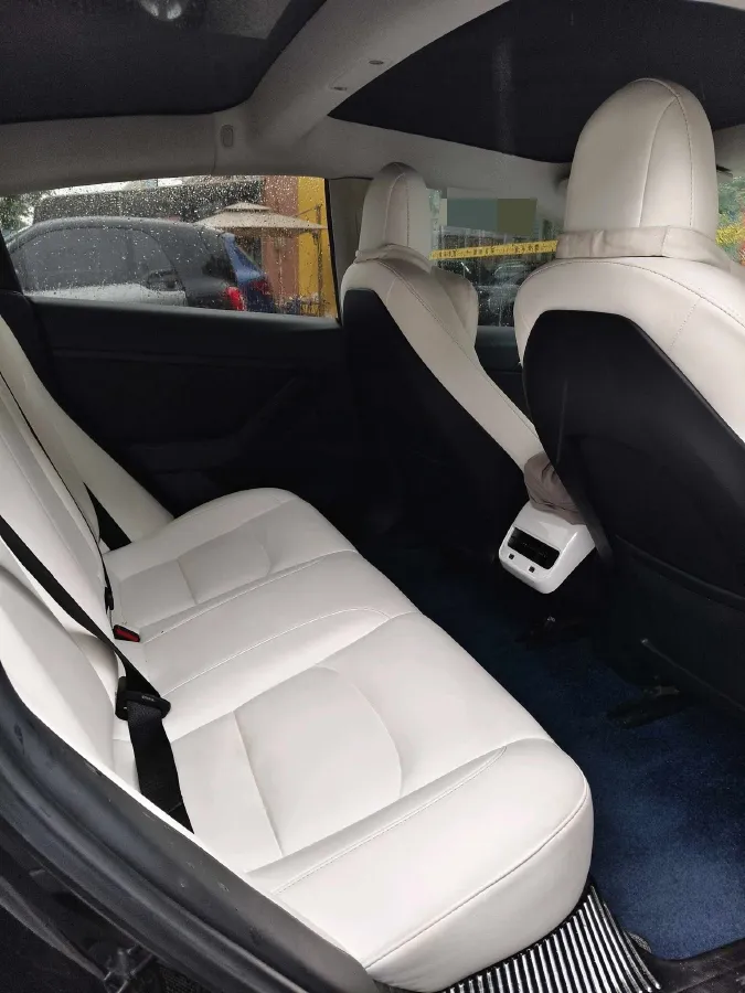 2021 Tesla Model 3 BEV 55KWH,autocango,china used car exporter,china ev exporter,chinese used car exporter,chinese used ev exporter