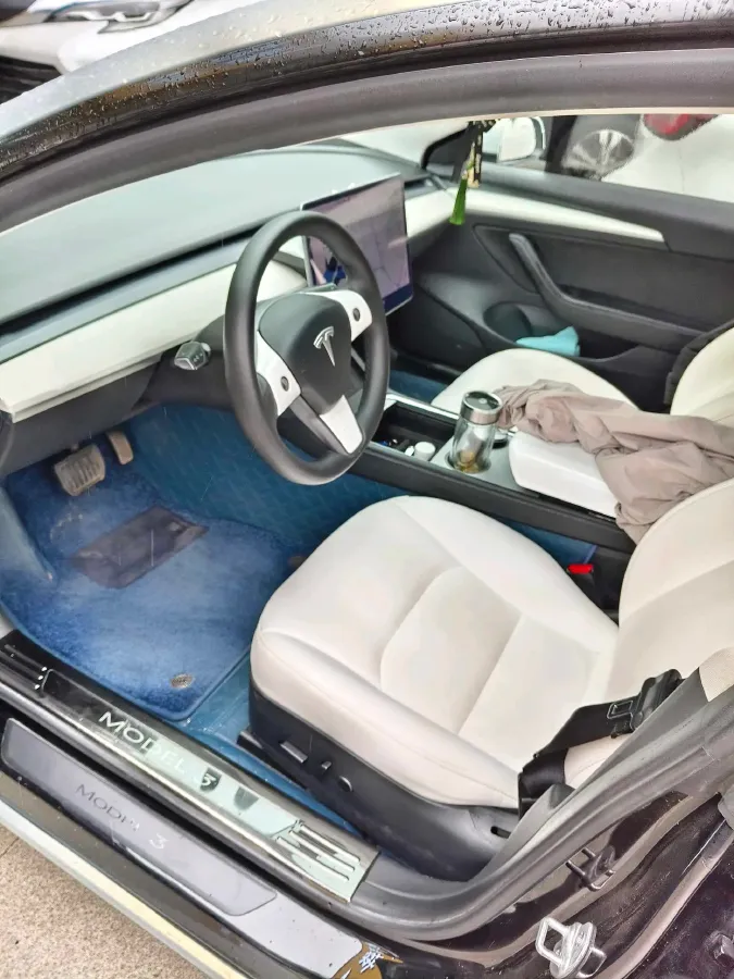 2021 Tesla Model 3 BEV 55KWH,autocango,china used car exporter,china ev exporter,chinese used car exporter,chinese used ev exporter