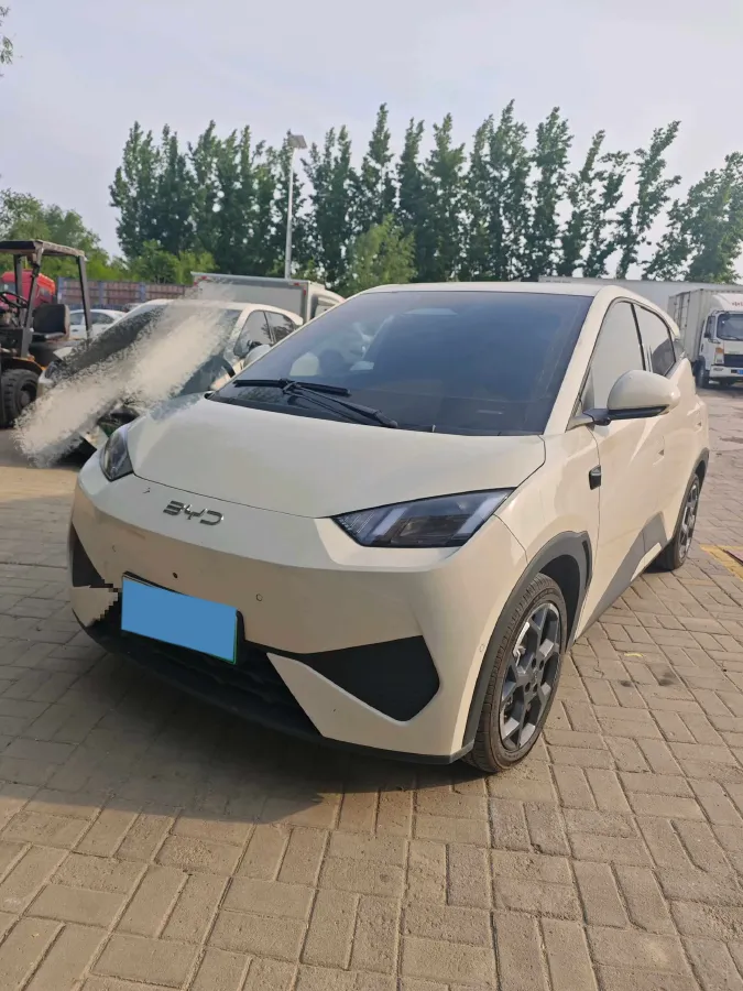 2025 BYD Seagull BEV 30.08KWH,autocango,china used car exporter,china ev exporter,chinese used car exporter,chinese used ev exporter