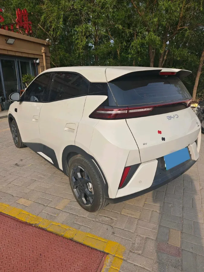 2025 BYD Seagull BEV 30.08KWH,autocango,china used car exporter,china ev exporter,chinese used car exporter,chinese used ev exporter