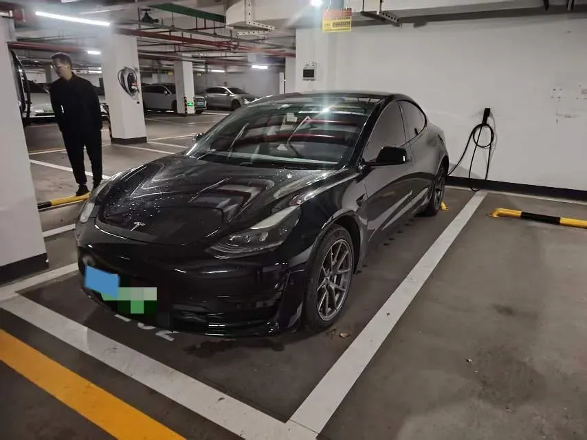2021 Tesla Model 3 BEV 55KWH,autocango,china used car exporter,china ev exporter,chinese used car exporter,chinese used ev exporter