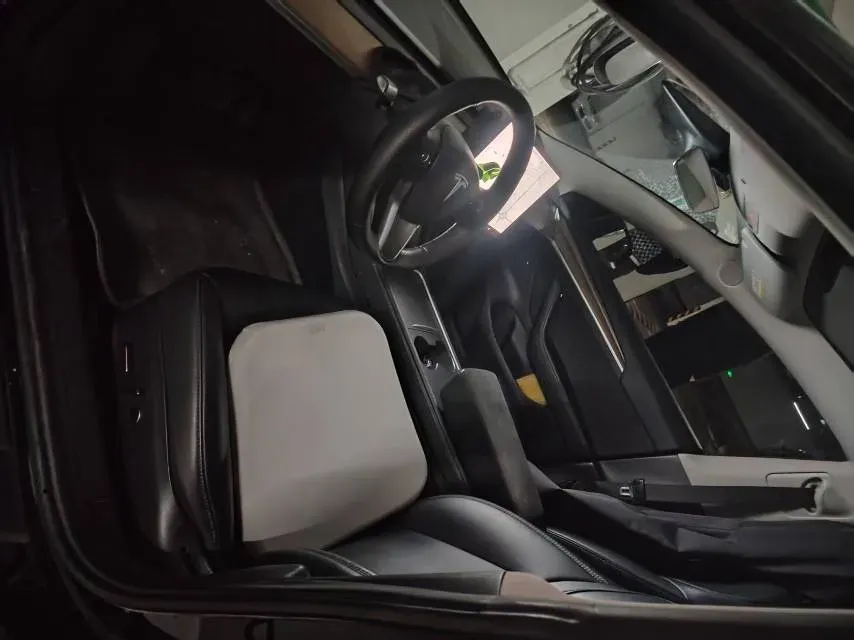 2021 Tesla Model 3 BEV 55KWH,autocango,china used car exporter,china ev exporter,chinese used car exporter,chinese used ev exporter