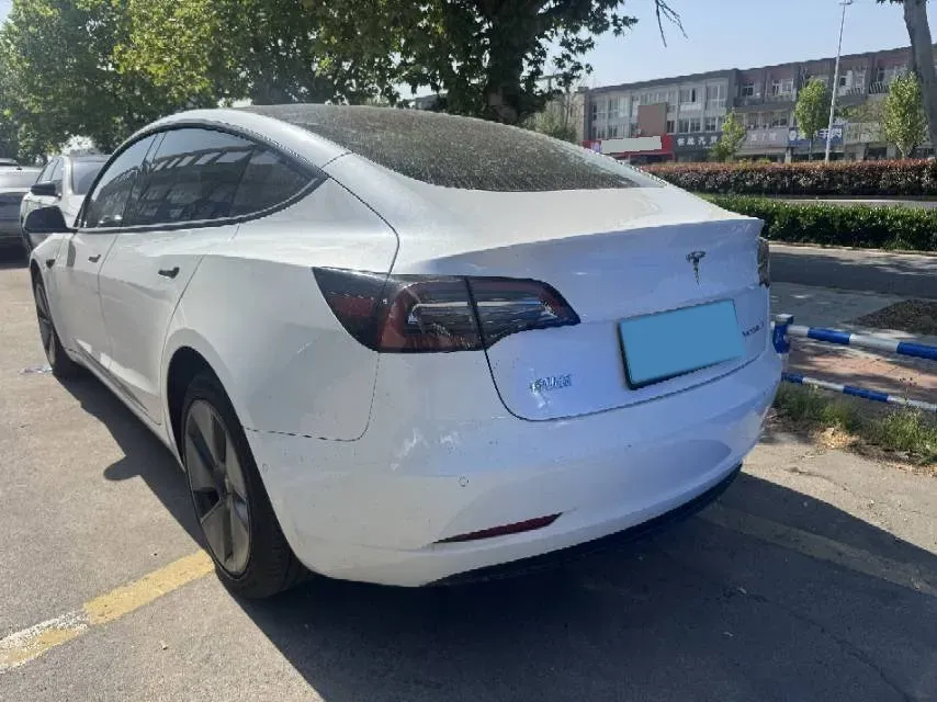 2021 Tesla Model 3 BEV 55KWH,autocango,china used car exporter,china ev exporter,chinese used car exporter,chinese used ev exporter