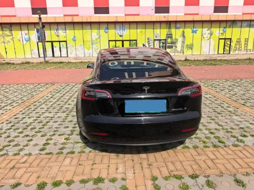 2022 Tesla Model 3 BEV 60KWH,autocango,china used car exporter,china ev exporter,chinese used car exporter,chinese used ev exporter