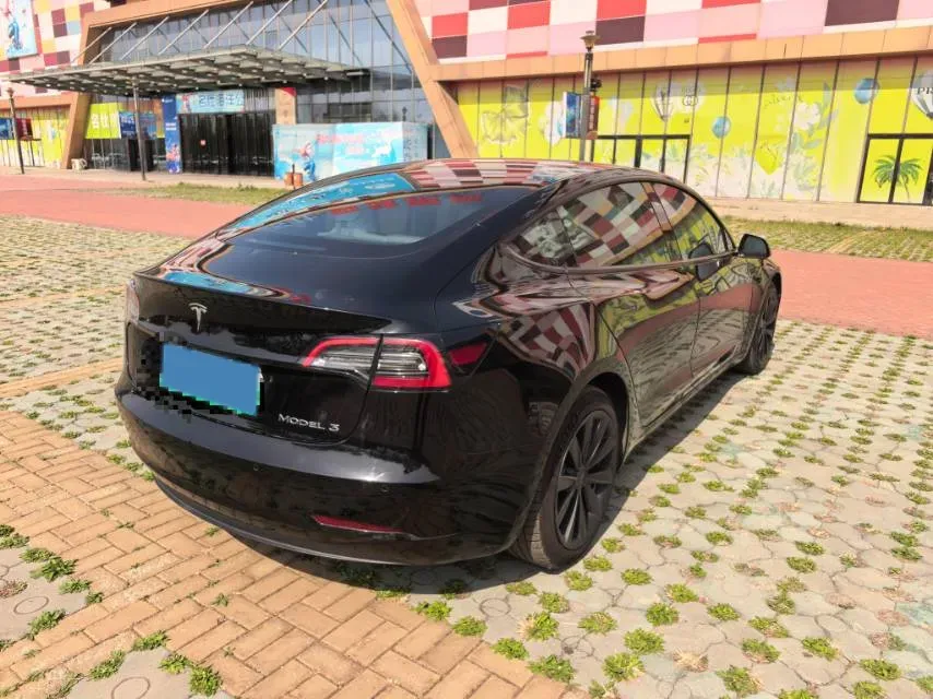 2022 Tesla Model 3 BEV 60KWH,autocango,china used car exporter,china ev exporter,chinese used car exporter,chinese used ev exporter