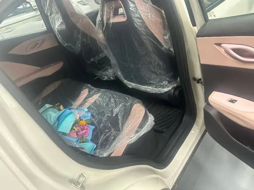 2025 BYD Seagull BEV 30.08KWH,autocango,china used car exporter,china ev exporter,chinese used car exporter,chinese used ev exporter