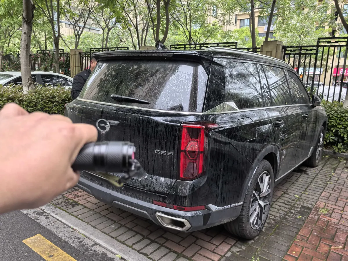 2025 GAC Trumpchi GS8 2.0T 252HP L4 8AT,autocango,china used car exporter,china ev exporter,chinese used car exporter,chinese used ev exporter