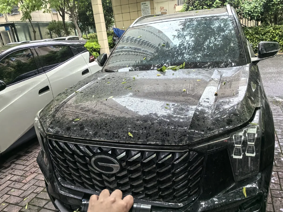 2025 GAC Trumpchi GS8 2.0T 252HP L4 8AT,autocango,china used car exporter,china ev exporter,chinese used car exporter,chinese used ev exporter