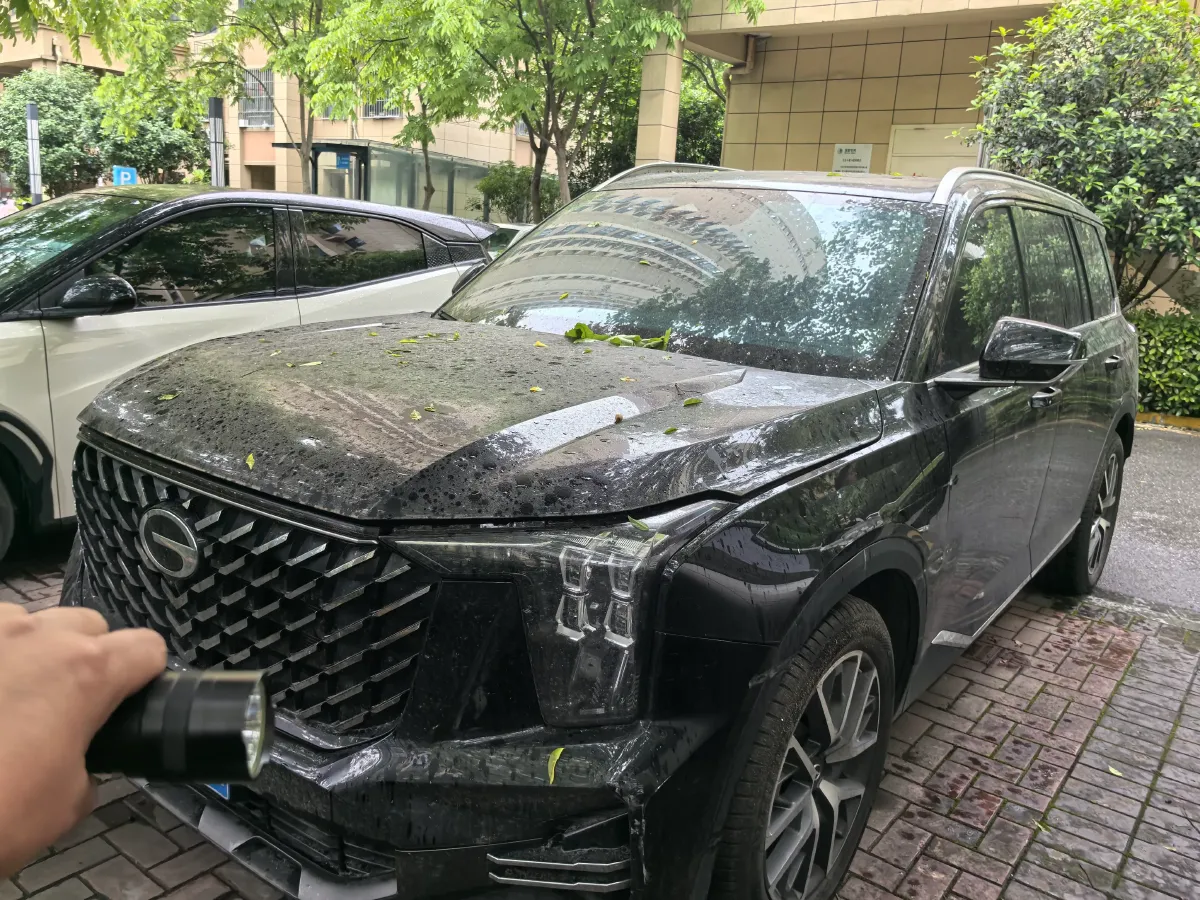 2025 GAC Trumpchi GS8 2.0T 252HP L4 8AT,autocango,china used car exporter,china ev exporter,chinese used car exporter,chinese used ev exporter