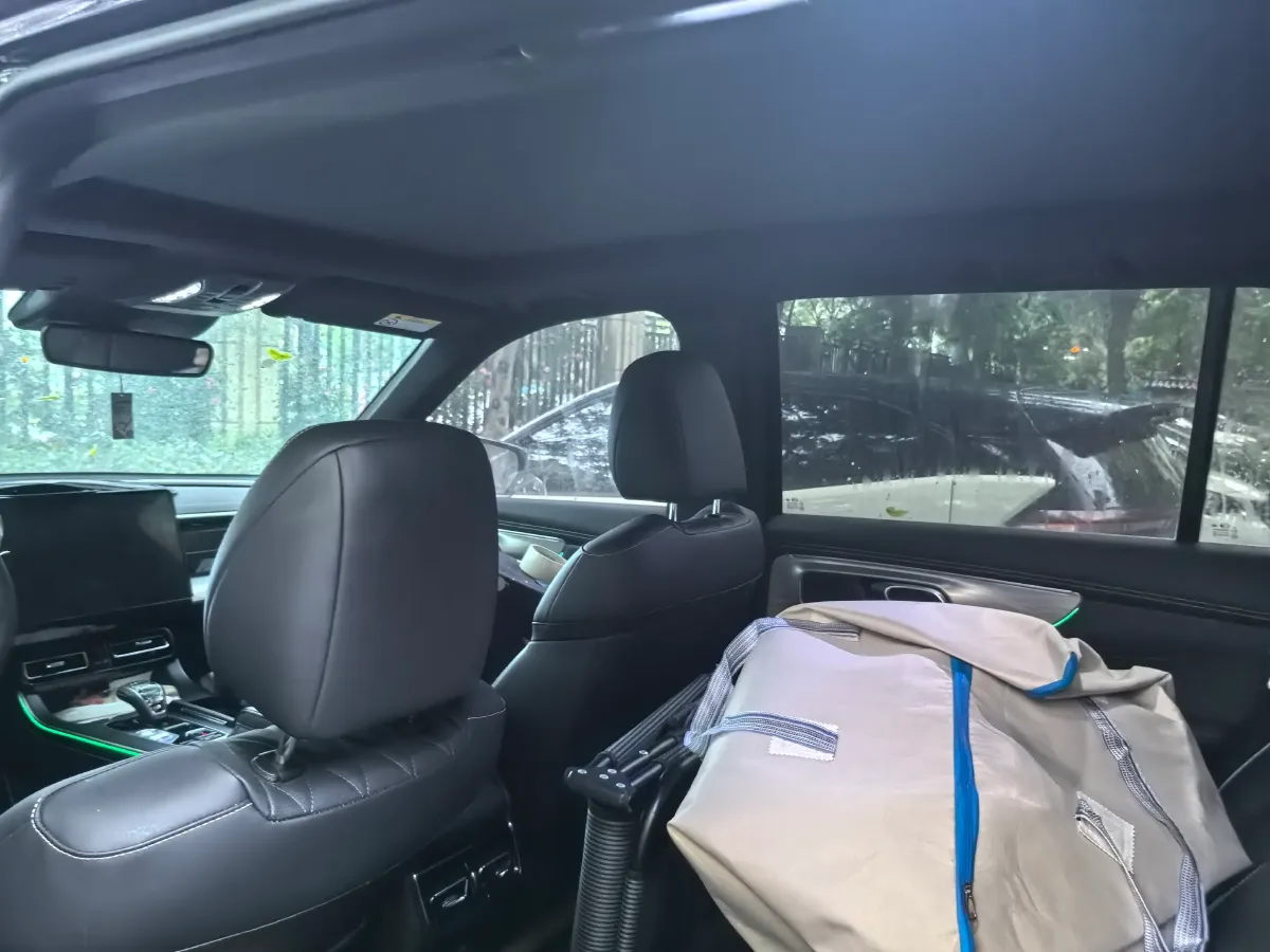 2025 GAC Trumpchi GS8 2.0T 252HP L4 8AT,autocango,china used car exporter,china ev exporter,chinese used car exporter,chinese used ev exporter