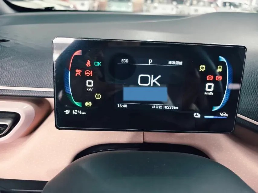 2024 BYD Seagull BEV 30.08KWH,autocango,china used car exporter,china ev exporter,chinese used car exporter,chinese used ev exporter