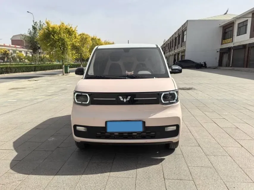 2020 WuLing HongGuang MINI EV BEV 13.8KWH,autocango,china used car exporter,china ev exporter,chinese used car exporter,chinese used ev exporter