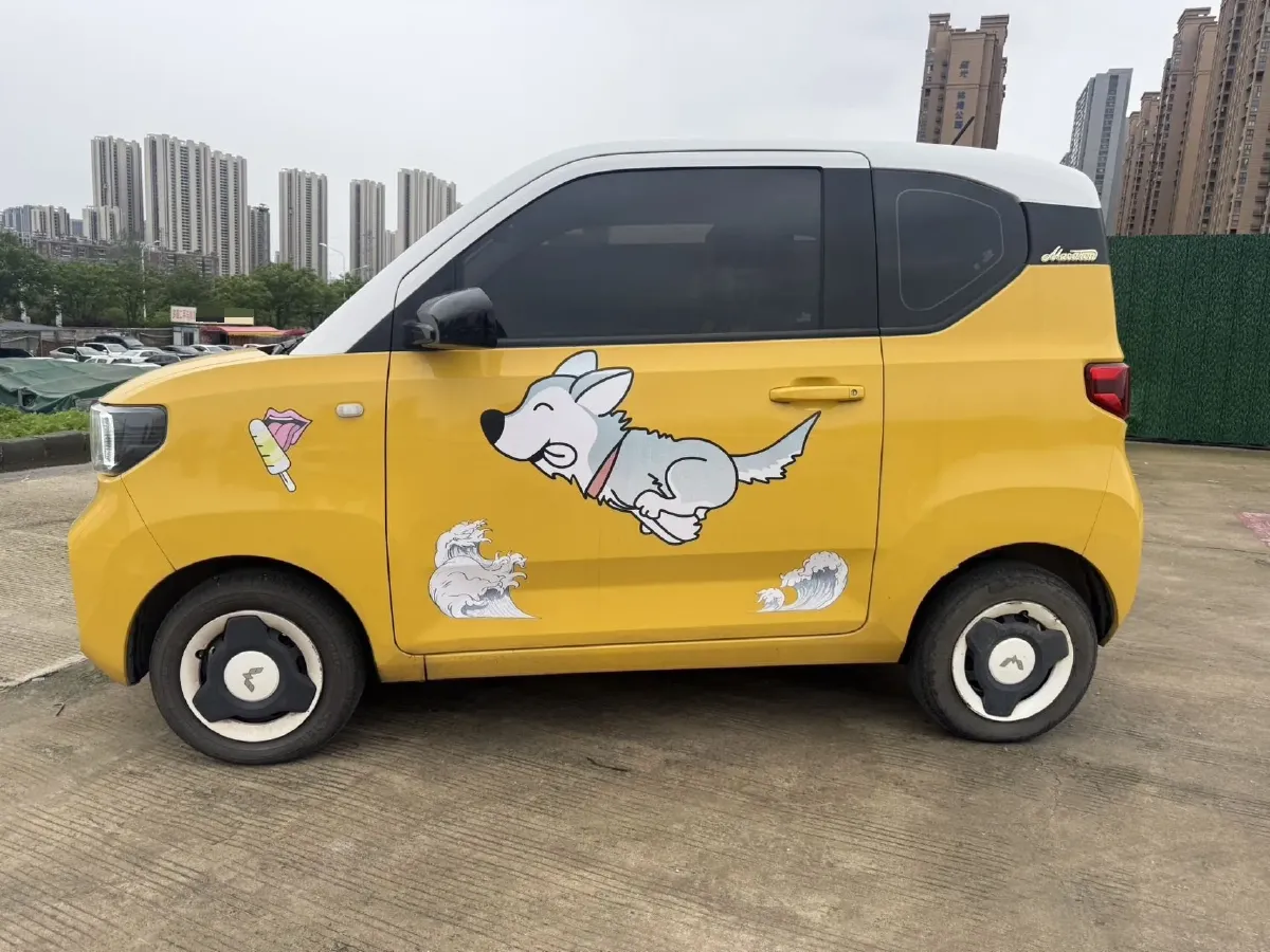 2021 WuLing HongGuang MINI EV BEV 13.9KWH,autocango,china used car exporter,china ev exporter,chinese used car exporter,chinese used ev exporter