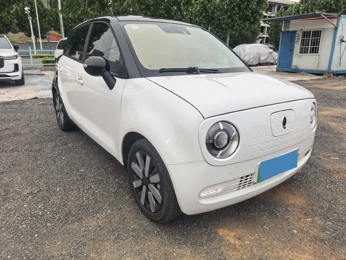 2019 Ora BlackCat BEV 33KWH,autocango,china used car exporter,china ev exporter,chinese used car exporter,chinese used ev exporter