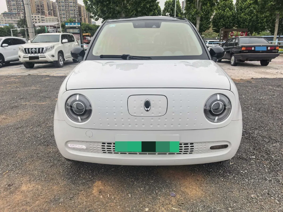2019 Ora BlackCat BEV 33KWH,autocango,china used car exporter,china ev exporter,chinese used car exporter,chinese used ev exporter