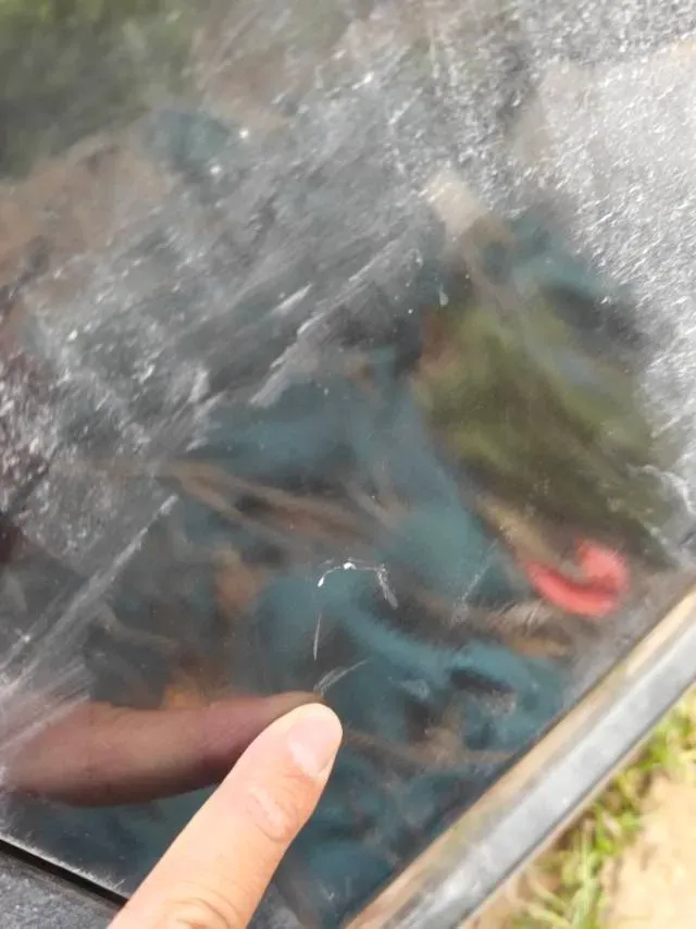 2023 Volkswagen Lamando 1.4T 150HP L4 7DCT,autocango,china used car exporter,china ev exporter,chinese used car exporter,chinese used ev exporter