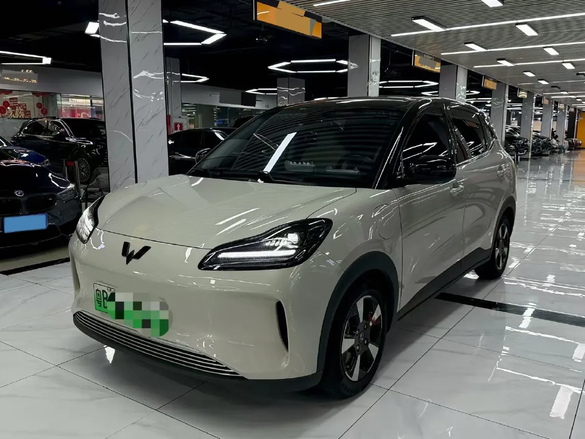 2024 WuLing BinGuoPLUS BEV 50.6KWH,autocango,china used car exporter,china ev exporter,chinese used car exporter,chinese used ev exporter