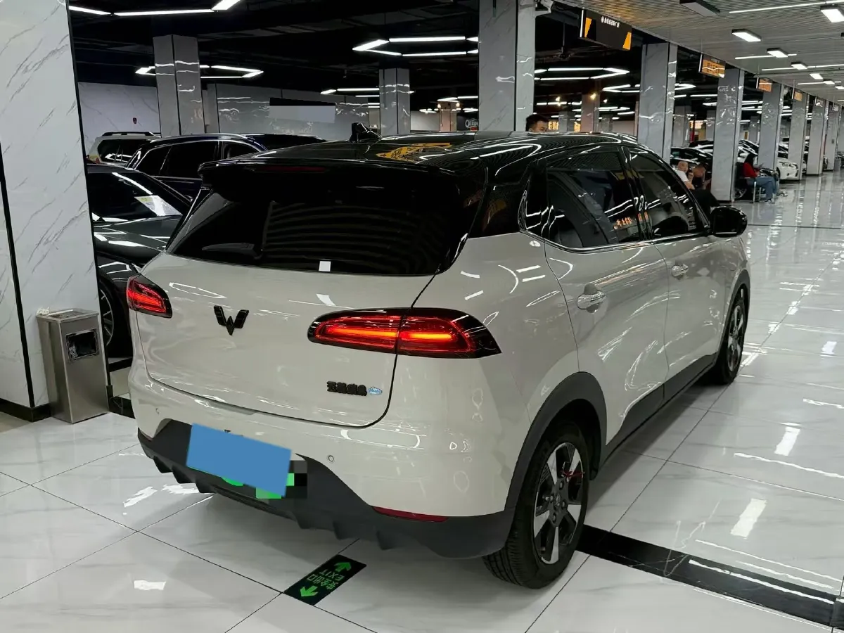 2024 WuLing BinGuoPLUS BEV 50.6KWH,autocango,china used car exporter,china ev exporter,chinese used car exporter,chinese used ev exporter