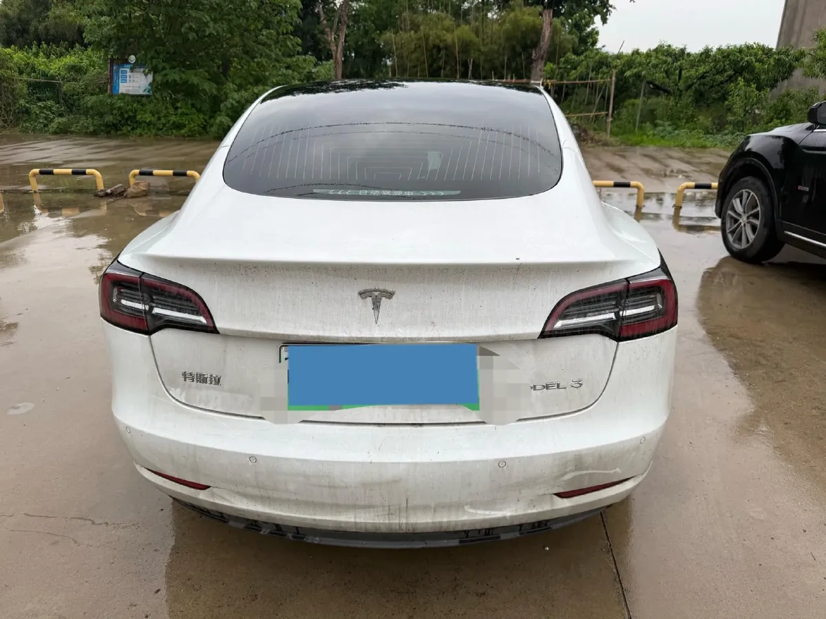 2020 Tesla Model 3 BEV 55KWH,autocango,china used car exporter,china ev exporter,chinese used car exporter,chinese used ev exporter