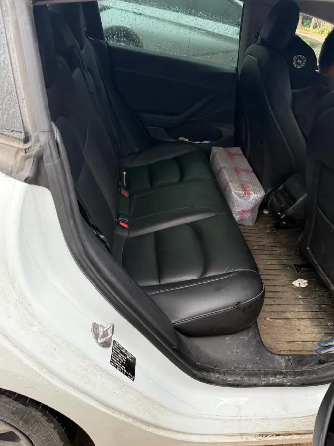 2020 Tesla Model 3 BEV 55KWH,autocango,china used car exporter,china ev exporter,chinese used car exporter,chinese used ev exporter