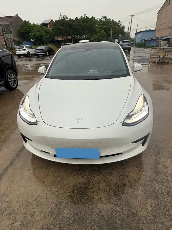2020 Tesla Model 3 BEV 55KWH,autocango,china used car exporter,china ev exporter,chinese used car exporter,chinese used ev exporter