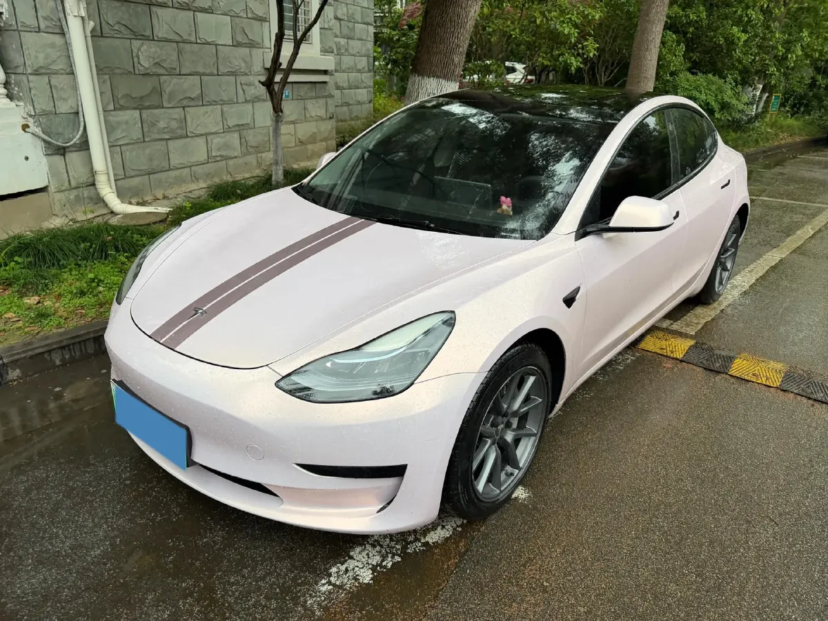 2021 Tesla Model 3 BEV 55KWH,autocango,china used car exporter,china ev exporter,chinese used car exporter,chinese used ev exporter